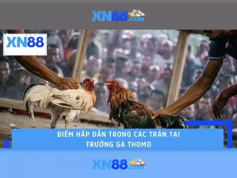 💎nhà cái số 1 88💎
