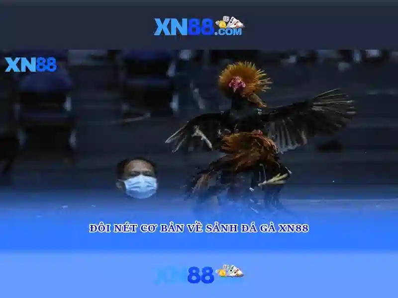 💎bảng tỷ lệ nhà cái💎