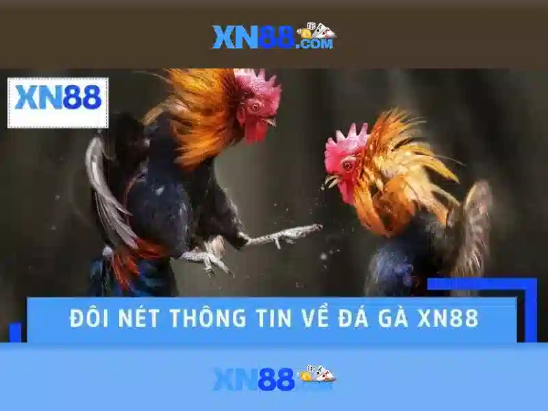 💎kèo nhà cái 95 111💎