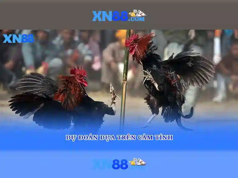 💎bảng tỷ số cá cược bồ đào nha💎