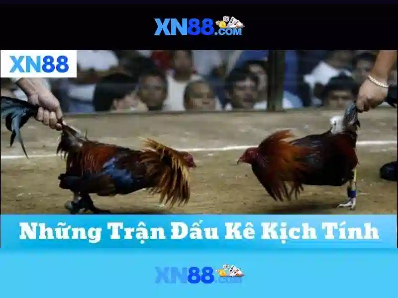 💎sin88 login💎 - link tại sin88 - link vao sin88 moi nhat