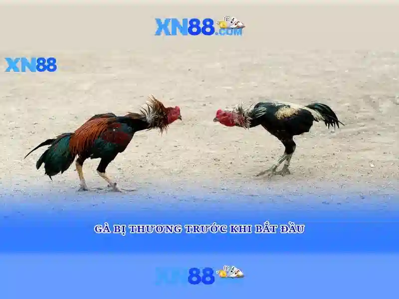 💎alibaba 888slot slot demo💎