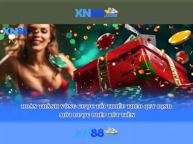 💎có bao nhiêu cây cầu bắc qua sông hương💎