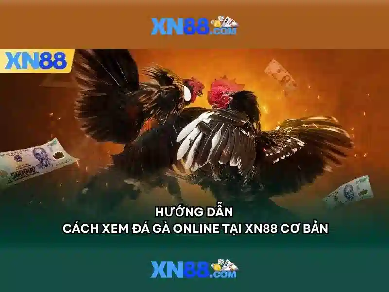 thể thao - XN88