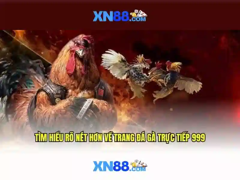 XN88 – Bảo Vệ Quyền Riêng Tư Cho Người Chơi Slot 2026 - XN88
