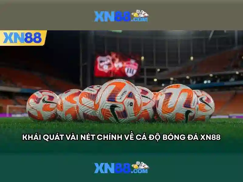 XN88 – Trải Nghiệm Cá Cược Hợp Pháp Với XN88 Bshrf 2026 - XN88