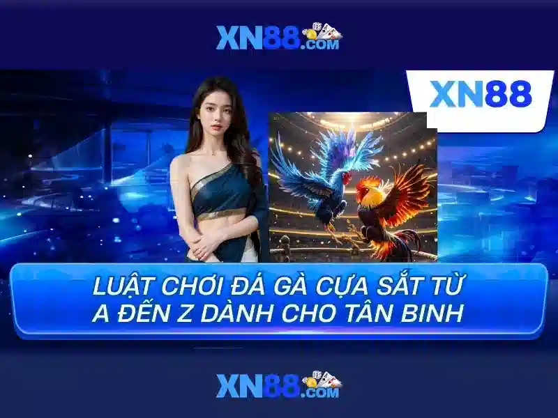 💎keo nha cai vaobo88💎