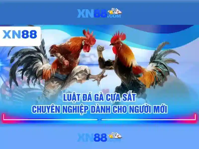 💎nhà cái số 1 châu á💎