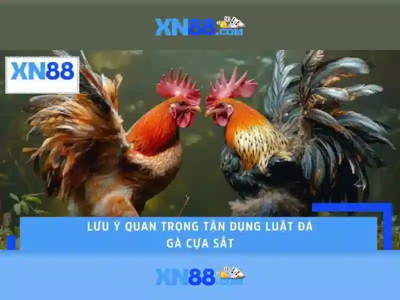 💎cách đặt cược sin88💎 - sin88 thanh van - logo sin88