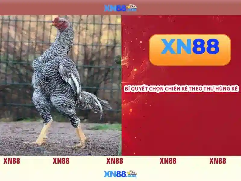 💎nha cai uy tin expert💎