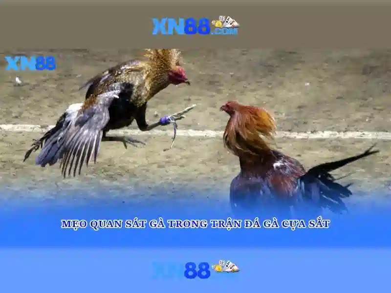 💎bet xn88 app login💎