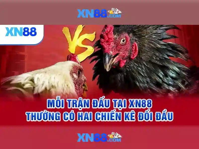  XN88 chính thống - XN88