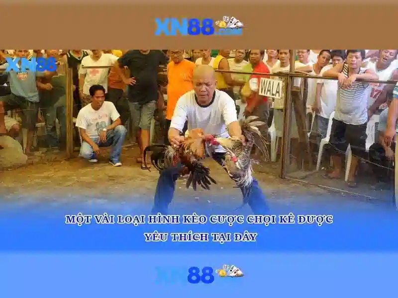 💎nhung nhà cái uy tín nhất hiện nay💎