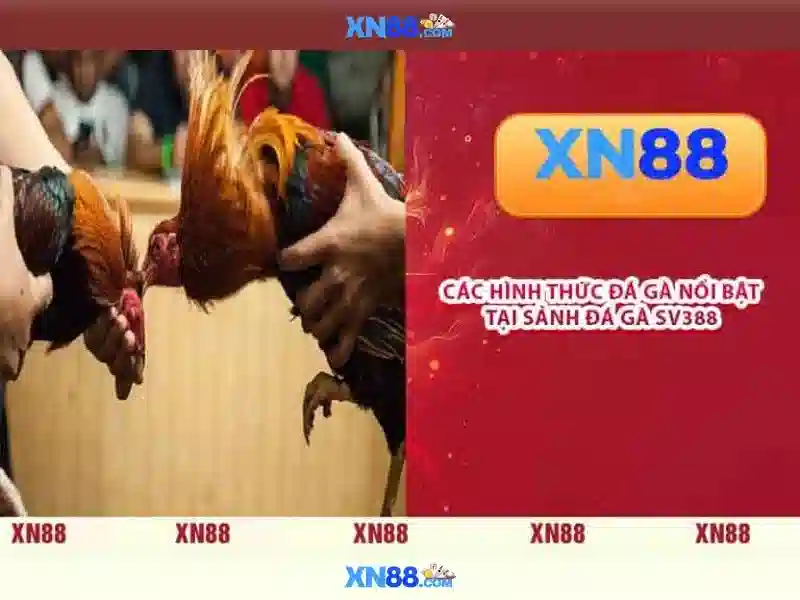 💎tay con nhà cái💎