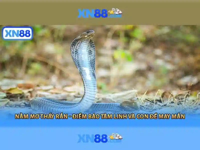 💎8xbet nhà cái💎 - kèo nhà cái 8xbet
