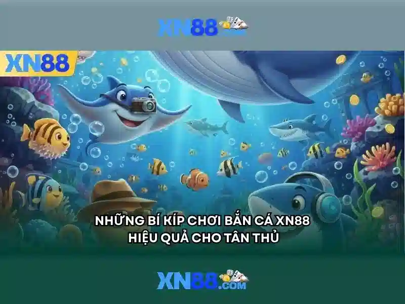 XN88 tài khoản - XN88