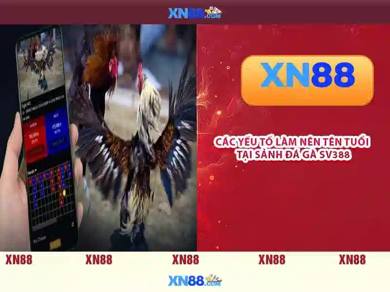 💎xn88 super ace demo💎