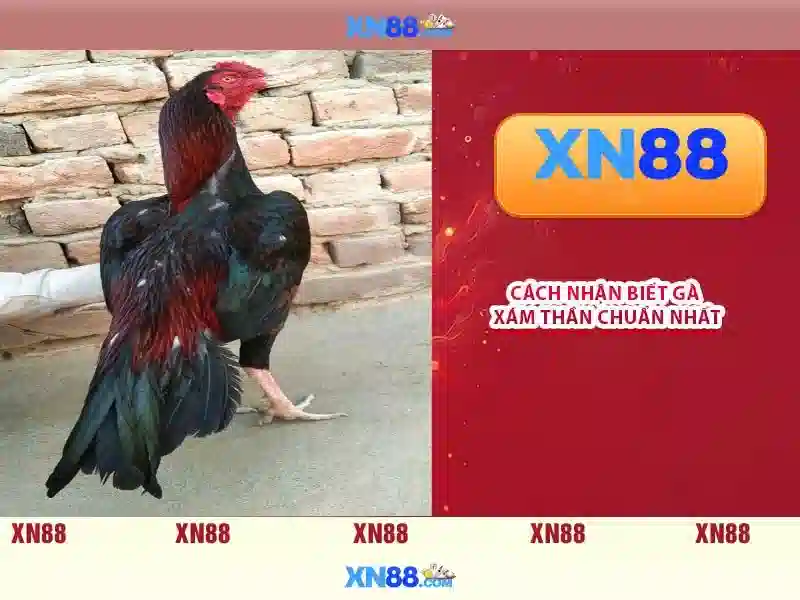 💎sin88 link vào💎 - sin88 bị sập - dang nhap sin88