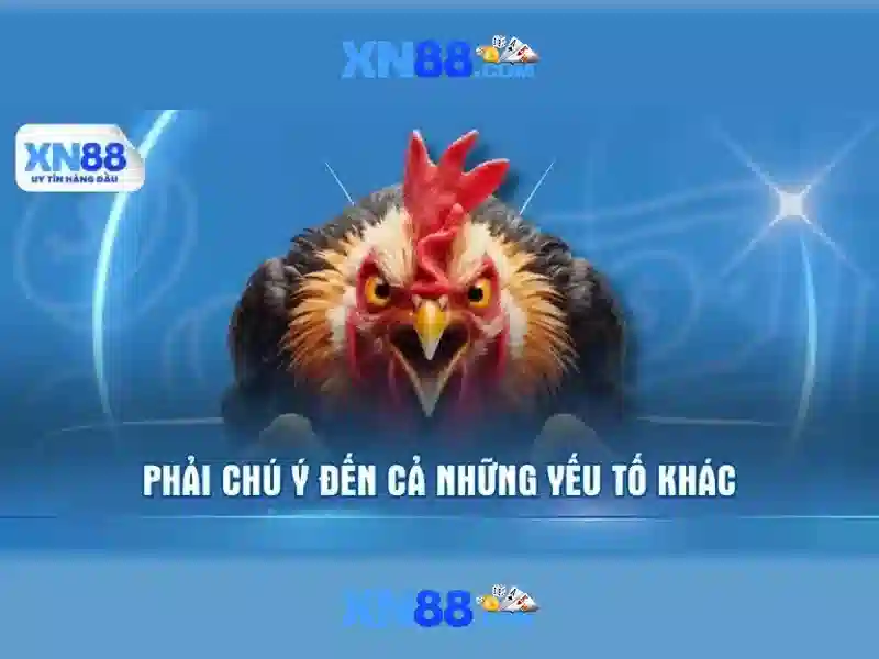 💎game 555win💎 - tài app 555win - tải app 555win