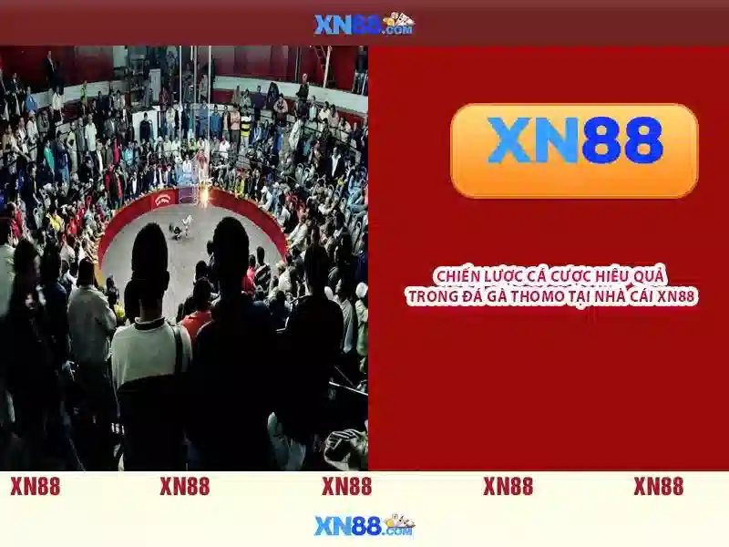 💎888 hb88 login💎