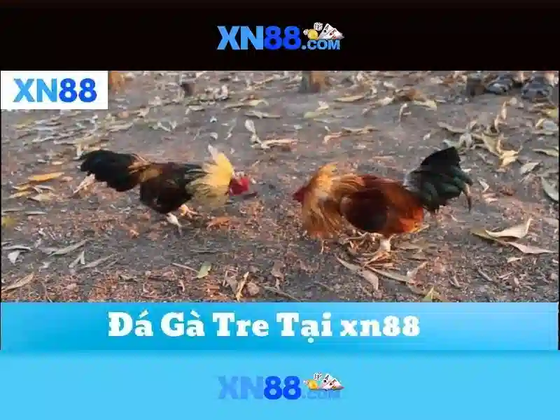 💎top nha cai uytin💎