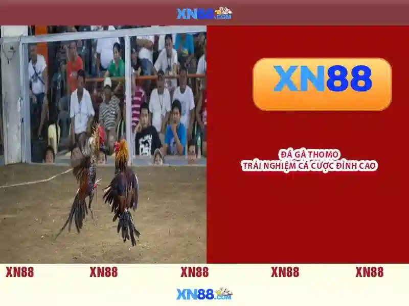 💎66b nguyễn sỹ sách p15 tân bình💎 - 66b mới - 66b có lừa đảo không