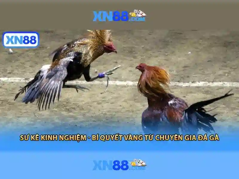 💎đánh sáng bạc💎