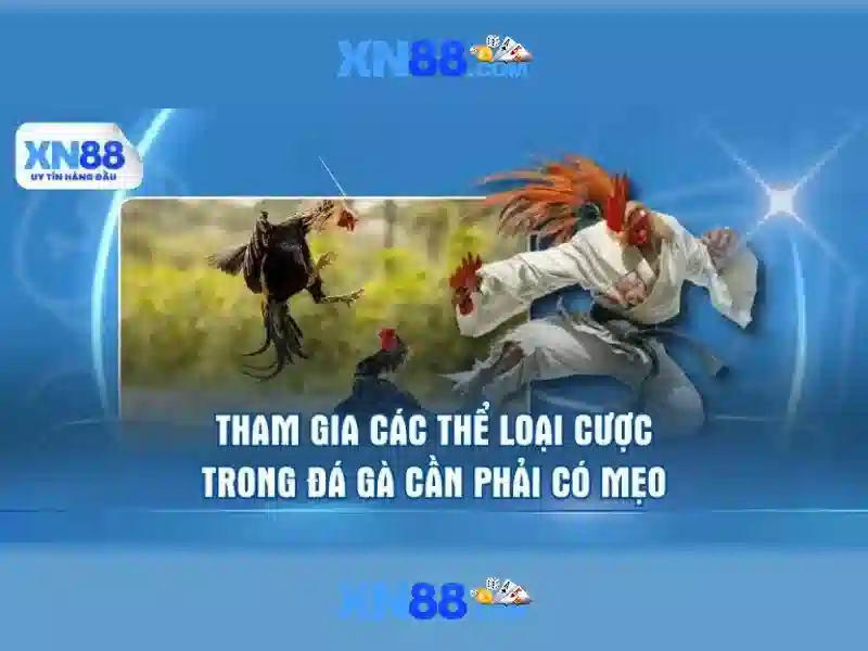 💎cac nha cai💎