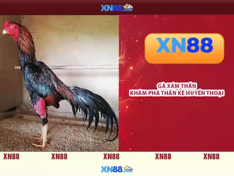 💎tỷ lệ cá cược u19 châu á💎