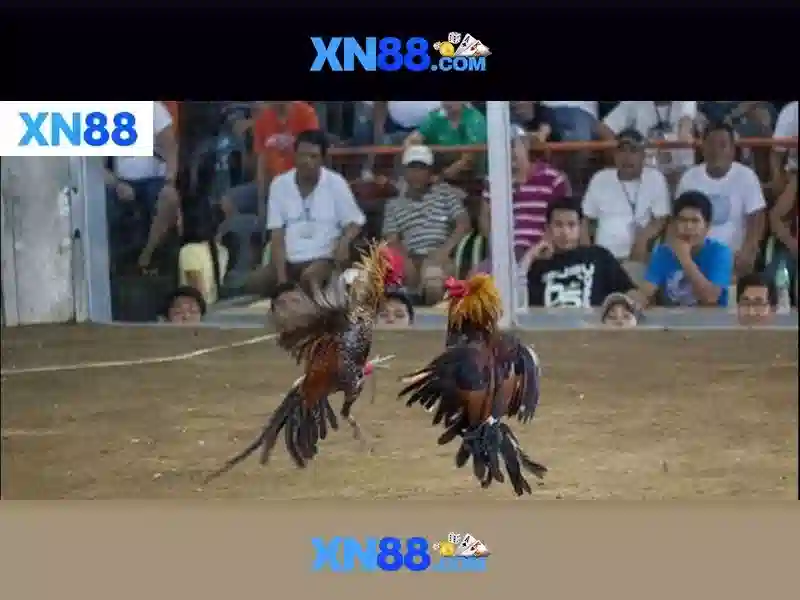 💎ch séc vs đan mạch kèo nhà cái💎