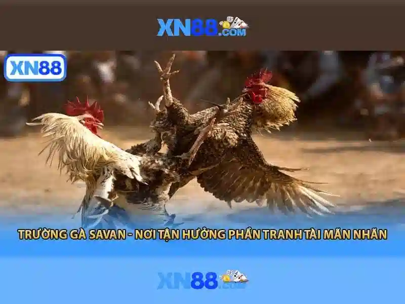 💎diamond king gold slot💎