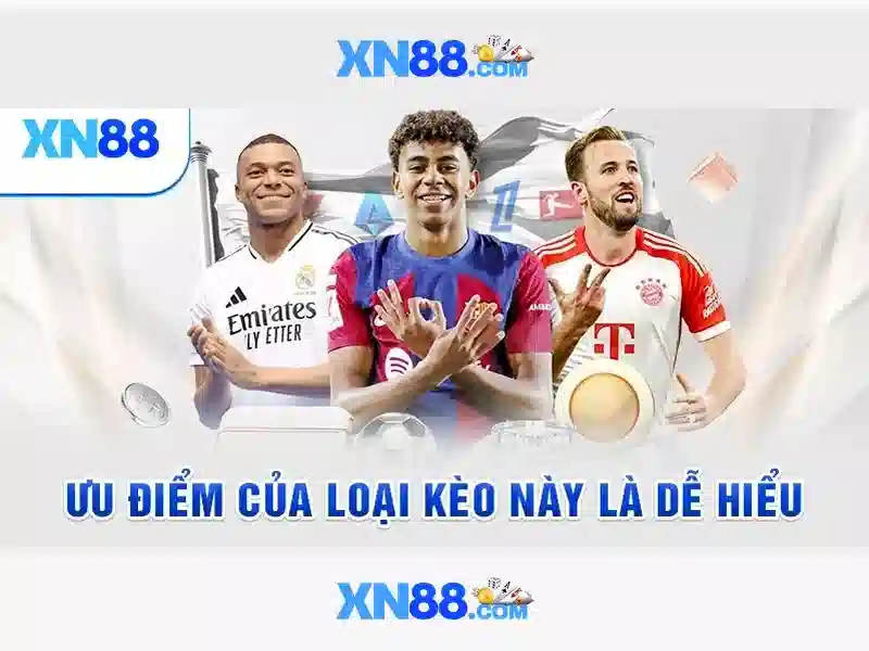 💎tỷ lệ cá cược bong da hom nay💎