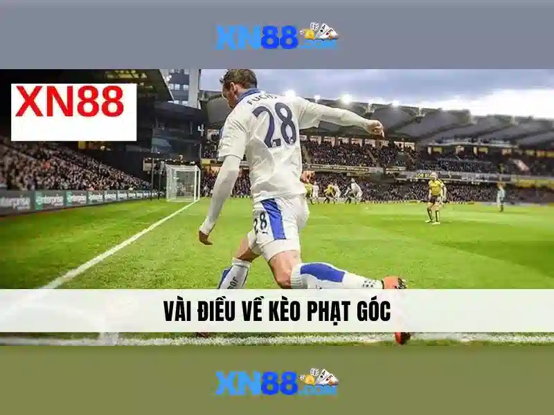 💎cách tính tỷ lệ cá cược bóng đá💎
