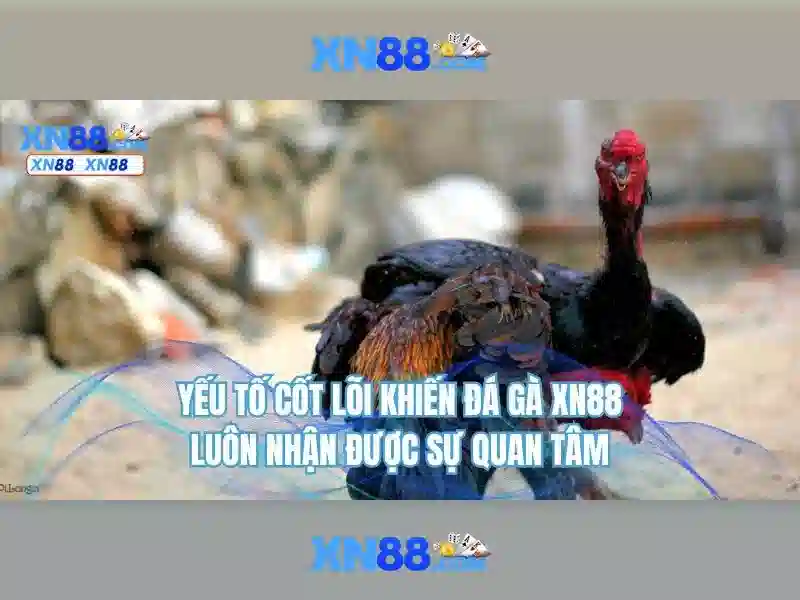  quy định pháp lý - XN88