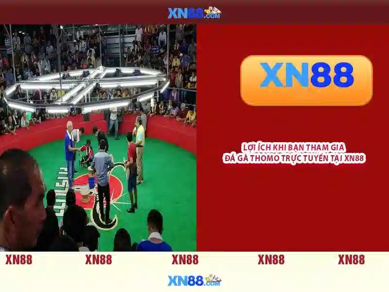 💎sv88 thomo💎 - sv88 commodore - sv88 llc