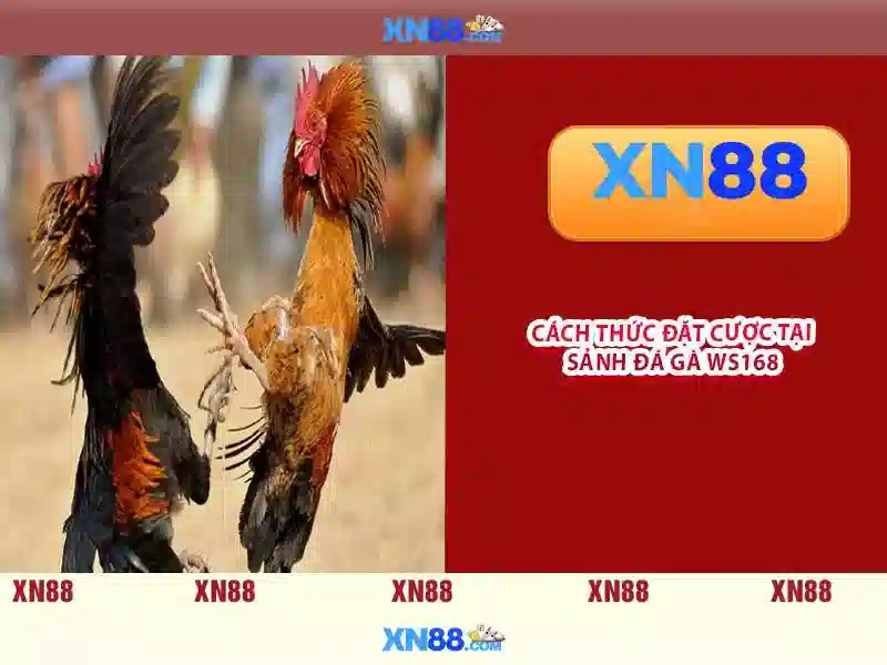 💎dublin bus 66b💎 - ganghoferstraße 66b 80339 münchen - 66b phiên bản mới