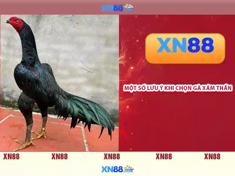 💎luck o the pots slot game💎