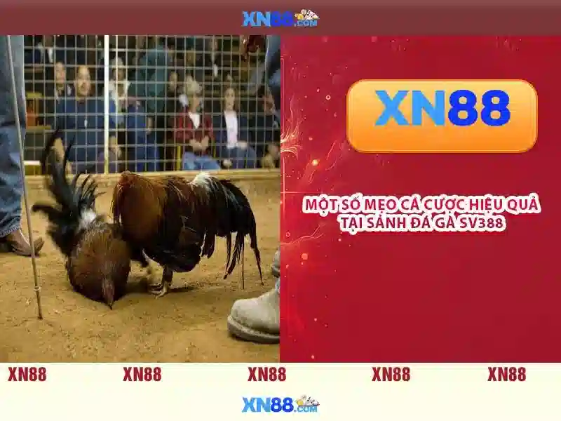 💎vue slot props example💎