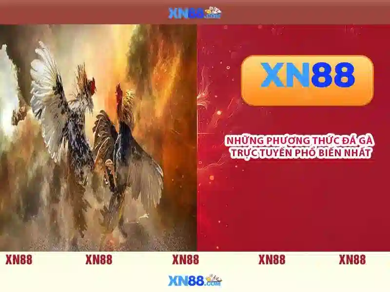 💎nhà cái win68💎