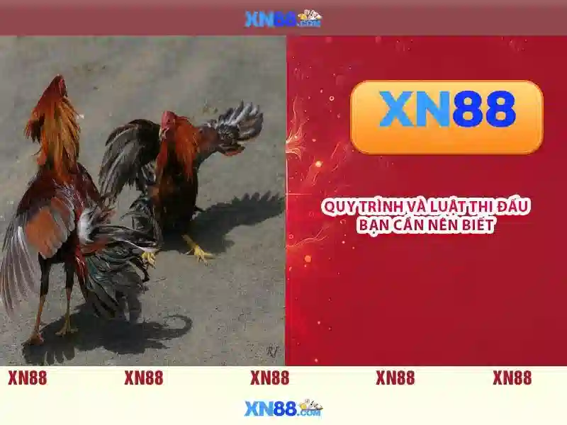 💎kèo nhà cái manchester united💎