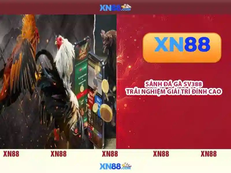 XN88 Slot - Trải Nghiệm Slot Đỉnh Cao Tại XN88 2026 - XN88