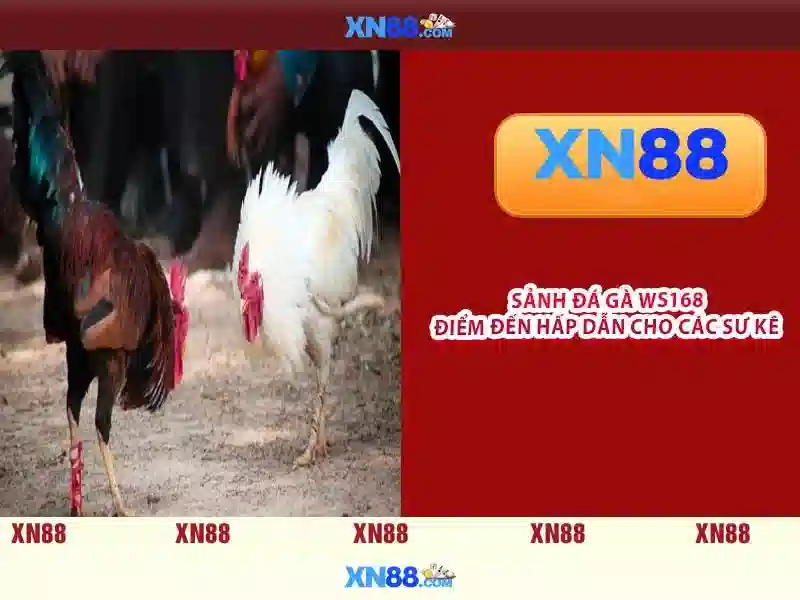 💎best slot machine websites💎