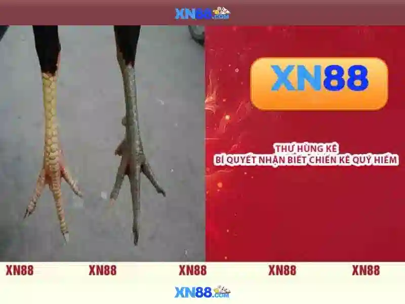 💎free video slots online games💎