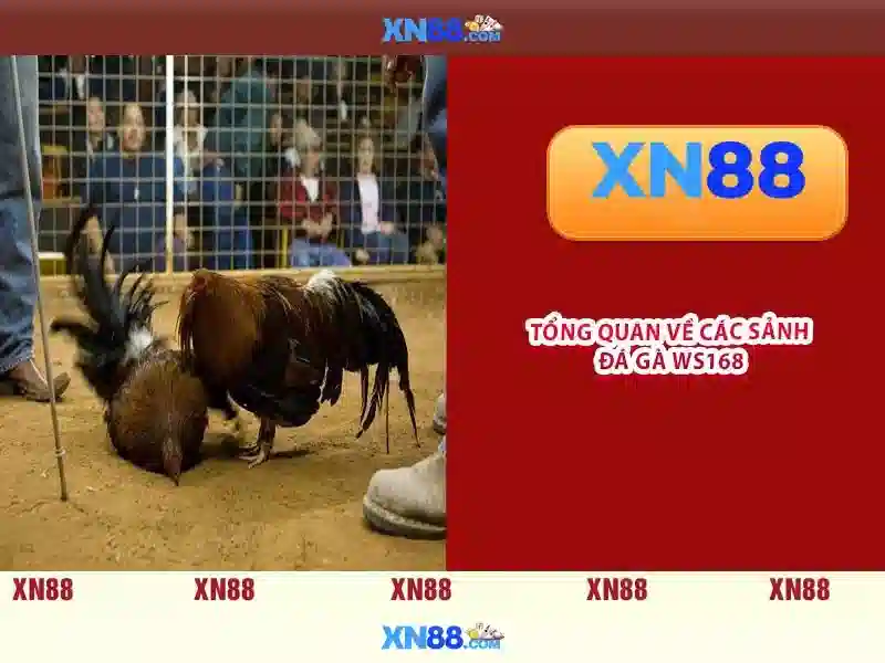 💎888slot slot website myanmar💎