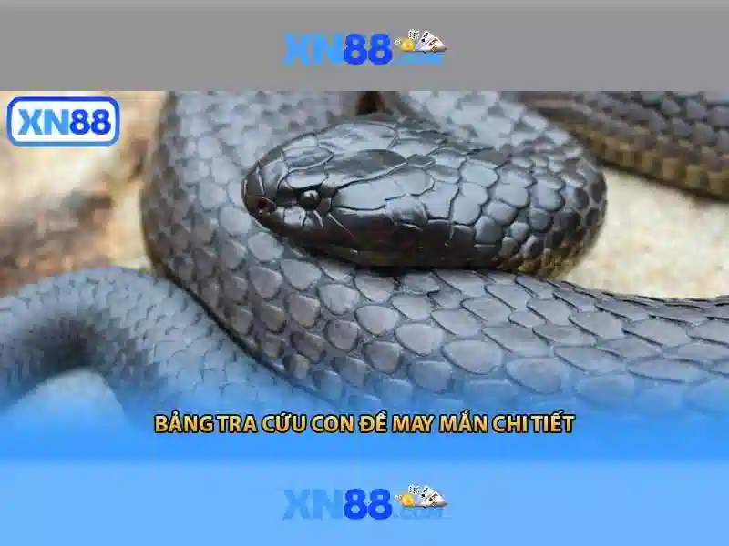 💎nha cai i9bet ltd💎