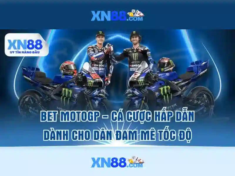 💎slot translate💎