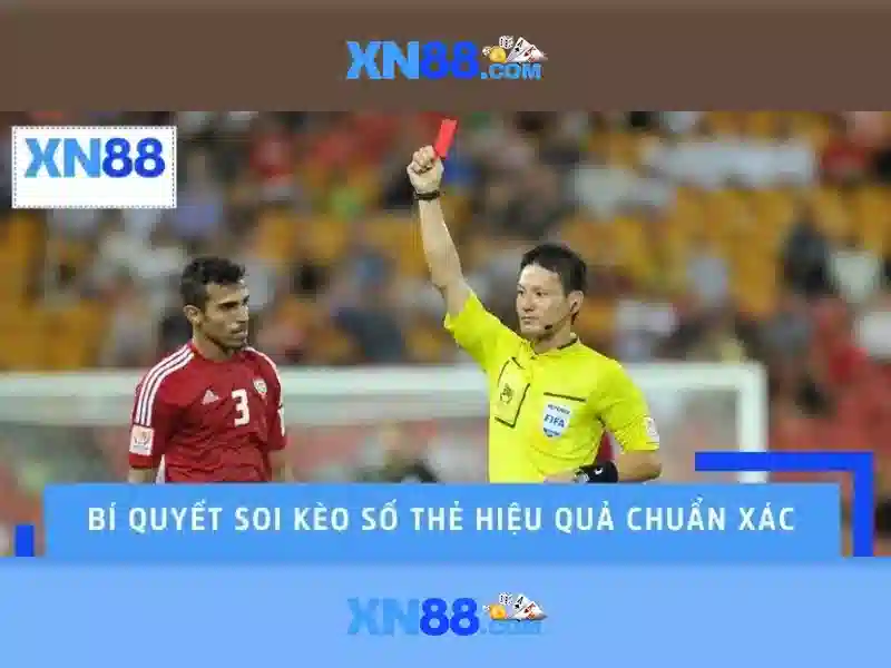 Bật Mí Cách Liên Hệ XN88 Nhanh Chóng Và Hiệu Quả Nhất - XN88