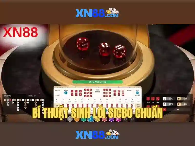 💎nhà cái win555💎