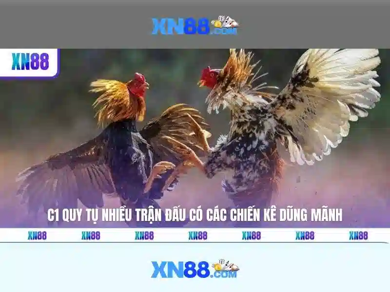 💎bóng đá tỷ lệ cá cược💎