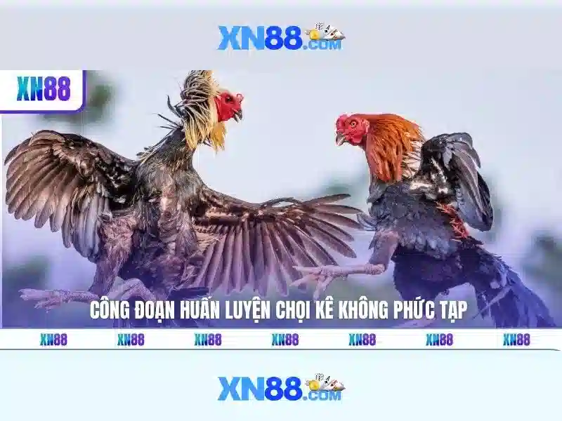 💎tỷ lệ kèo world cup nhà cái💎